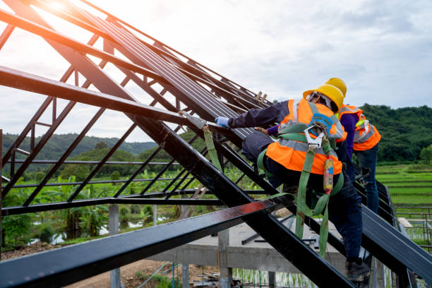 Best Residential Roofing Contractor  in Erie, IL