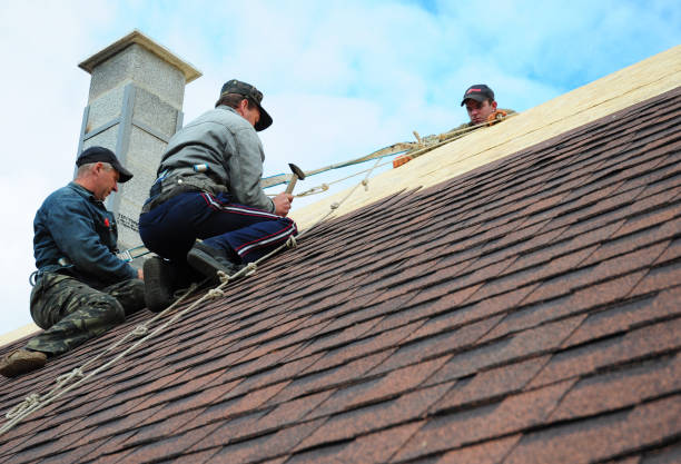Best Storm Damage Roof Repair  in Erie, IL