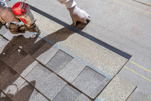 Best Residential Roofing Contractor  in Erie, IL
